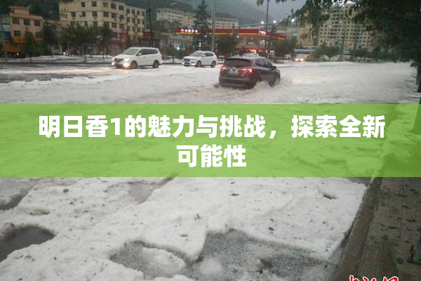 明日香1的魅力与挑战，探索全新可能性