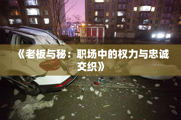 《老板与秘：职场中的权力与忠诚交织》