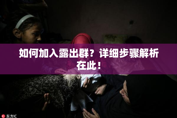 如何加入露出群？详细步骤解析在此！
