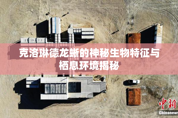 克洛琳德龙蜥的神秘生物特征与栖息环境揭秘