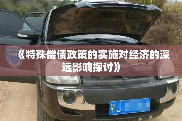 《特殊偿债政策的实施对经济的深远影响探讨》