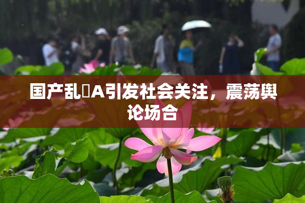 国产乱婬A引发社会关注，震荡舆论场合