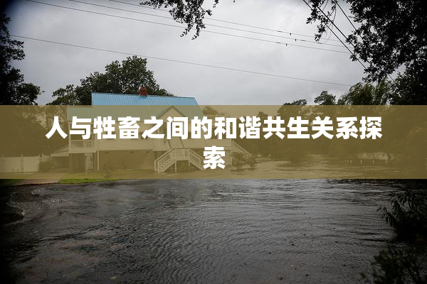 人与牲畜之间的和谐共生关系探索