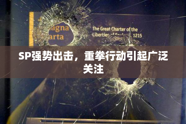 SP强势出击，重拳行动引起广泛关注