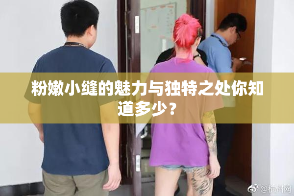 粉嫩小缝的魅力与独特之处你知道多少？