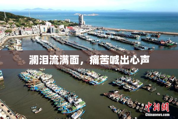 澜泪流满面，痛苦喊出心声