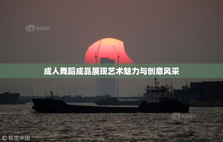 成人舞蹈成品展现艺术魅力与创意风采