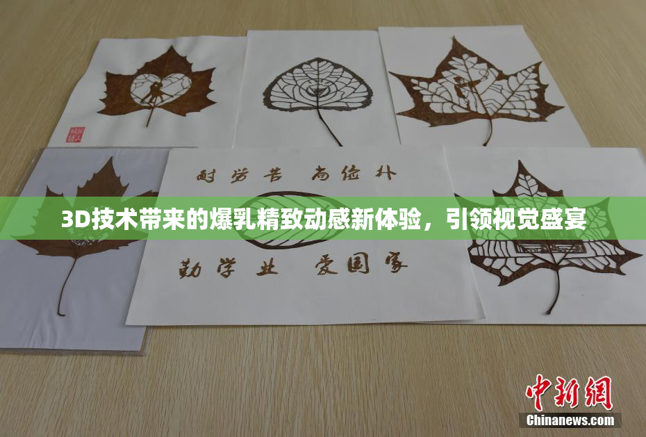 3D技术带来的爆乳精致动感新体验，引领视觉盛宴