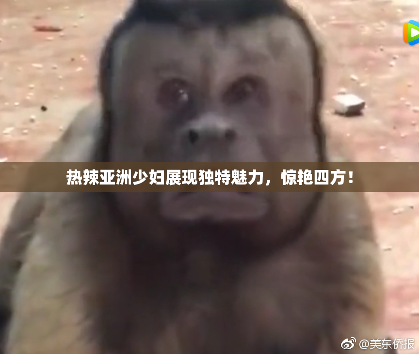 热辣亚洲少妇展现独特魅力，惊艳四方！