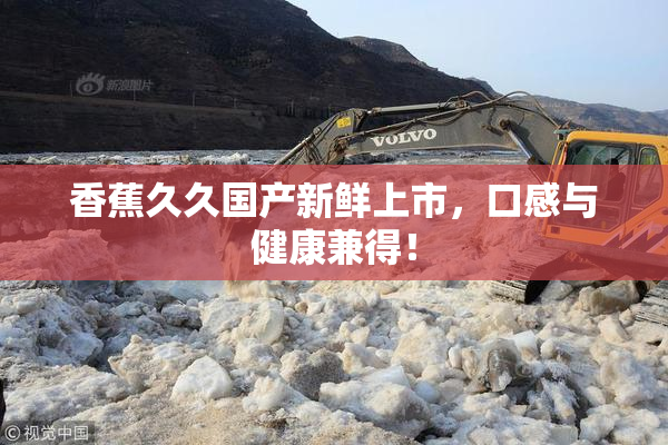 香蕉久久国产新鲜上市，口感与健康兼得！