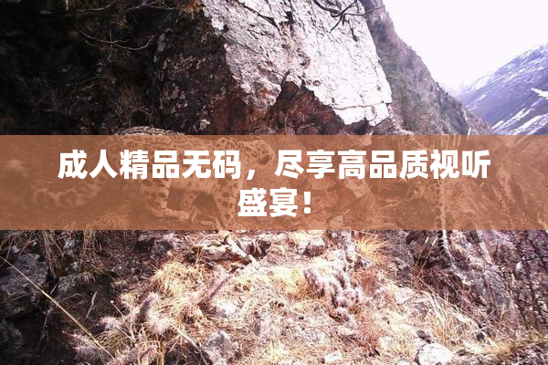 成人精品无码，尽享高品质视听盛宴！
