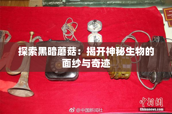 探索黑暗蘑菇：揭开神秘生物的面纱与奇迹
