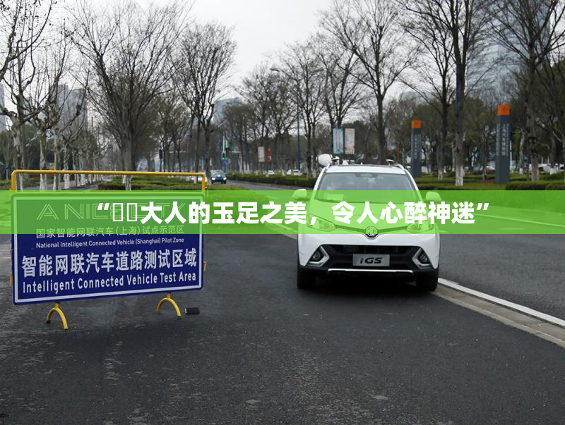 “芃芃大人的玉足之美，令人心醉神迷”