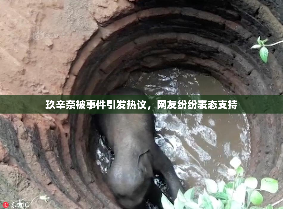 玖辛奈被事件引发热议，网友纷纷表态支持