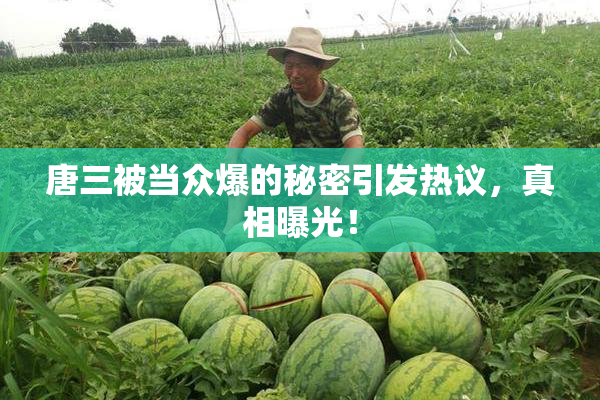 唐三被当众爆的秘密引发热议，真相曝光！