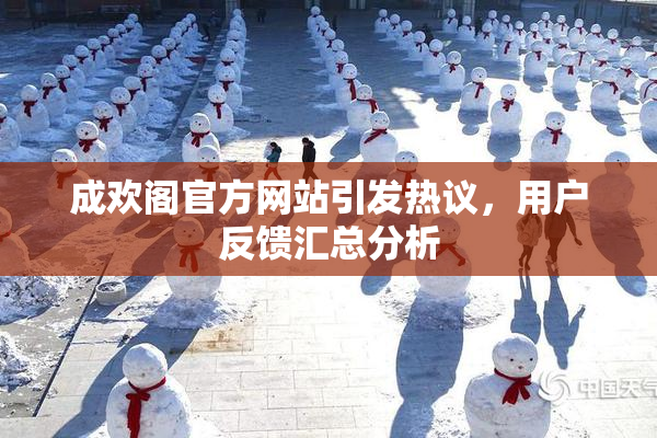 成欢阁官方网站引发热议，用户反馈汇总分析