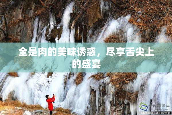 全是肉的美味诱惑，尽享舌尖上的盛宴