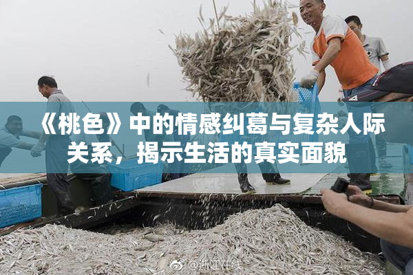 《桃色》中的情感纠葛与复杂人际关系，揭示生活的真实面貌