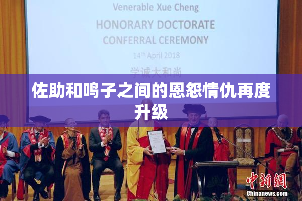 佐助和鸣子之间的恩怨情仇再度升级