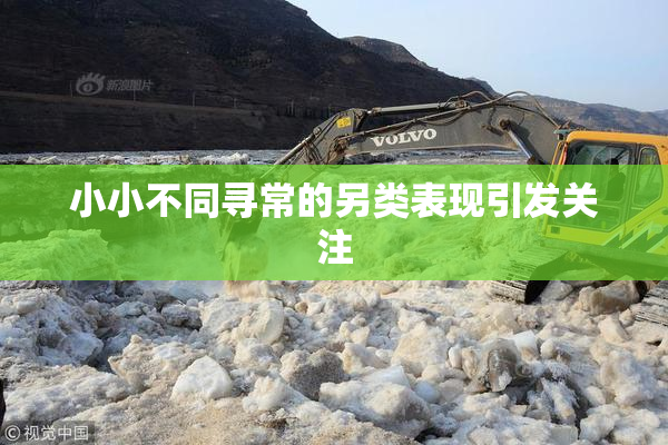 小小不同寻常的另类表现引发关注