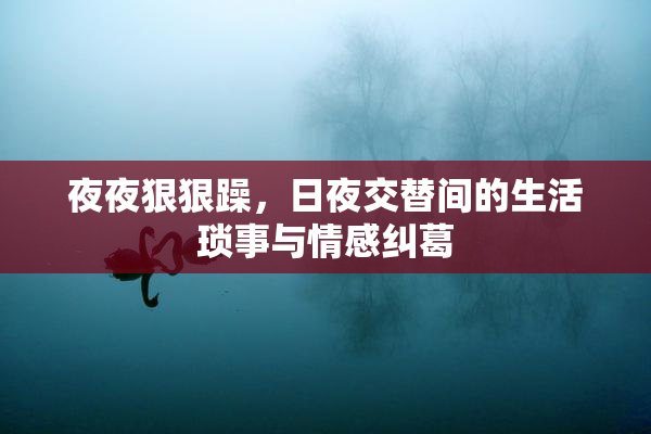 夜夜狠狠躁，日夜交替间的生活琐事与情感纠葛