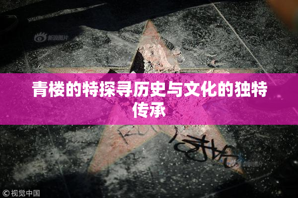 青楼的特探寻历史与文化的独特传承