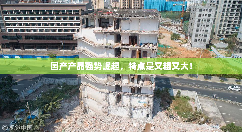 国产产品强势崛起，特点是又粗又大！