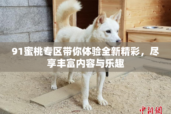 91蜜桃专区带你体验全新精彩，尽享丰富内容与乐趣