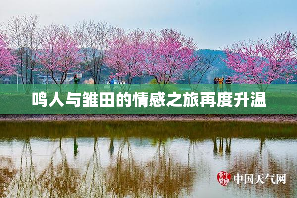 鸣人与雏田的情感之旅再度升温