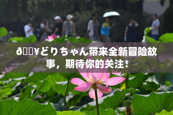 🔥どりちゃん带来全新冒险故事，期待你的关注！