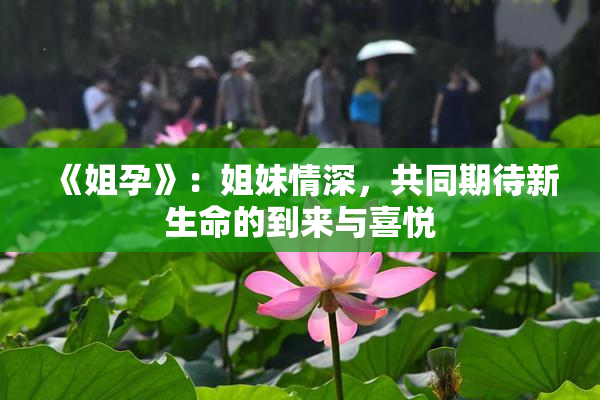 《姐孕》：姐妹情深，共同期待新生命的到来与喜悦
