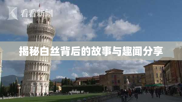 揭秘白丝背后的故事与趣闻分享