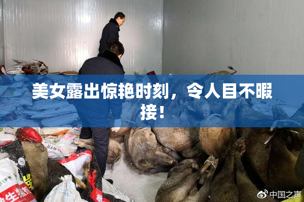 美女露出惊艳时刻，令人目不暇接！