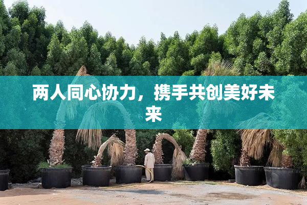 两人同心协力，携手共创美好未来