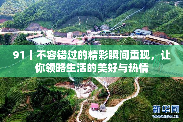 91丨不容错过的精彩瞬间重现，让你领略生活的美好与热情