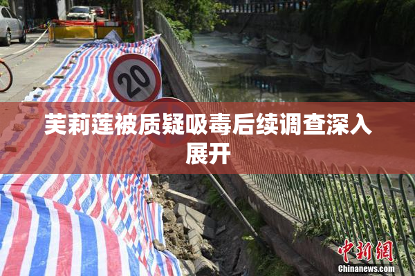 芙莉莲被质疑吸毒后续调查深入展开