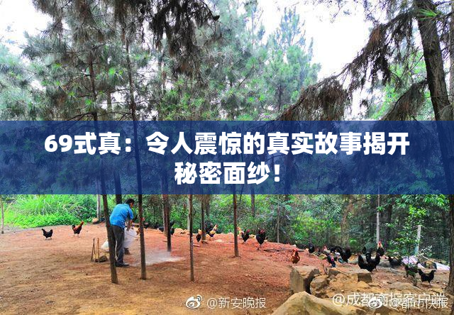 69式真：令人震惊的真实故事揭开秘密面纱！