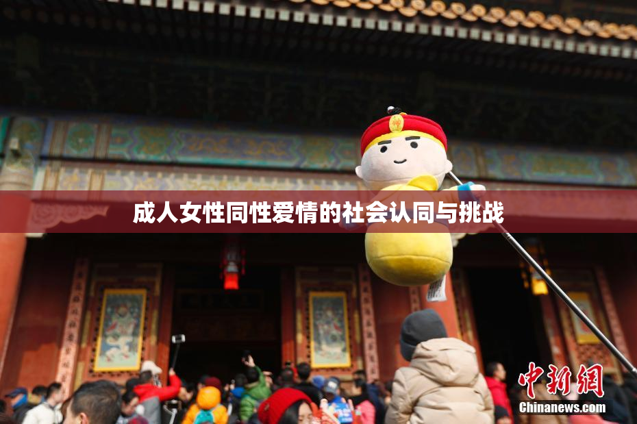 成人女性同性爱情的社会认同与挑战