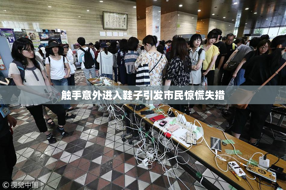 触手意外进入鞋子引发市民惊慌失措