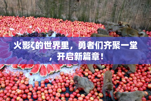 火影ζ的世界里，勇者们齐聚一堂，开启新篇章！