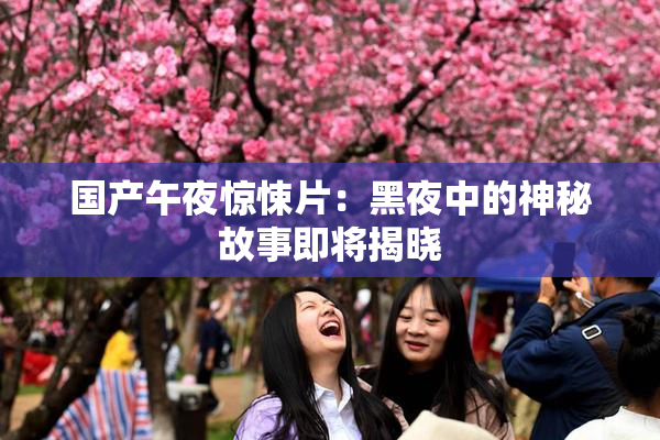 国产午夜惊悚片：黑夜中的神秘故事即将揭晓