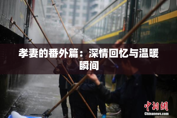 孝妻的番外篇：深情回忆与温暖瞬间