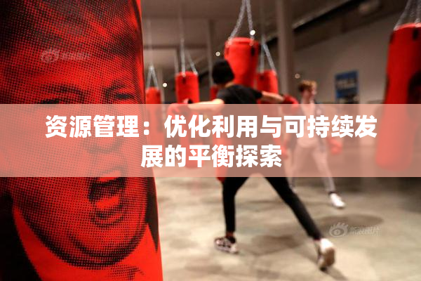 资源管理：优化利用与可持续发展的平衡探索