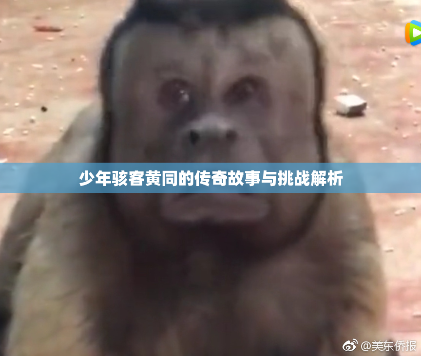 少年骇客黄同的传奇故事与挑战解析