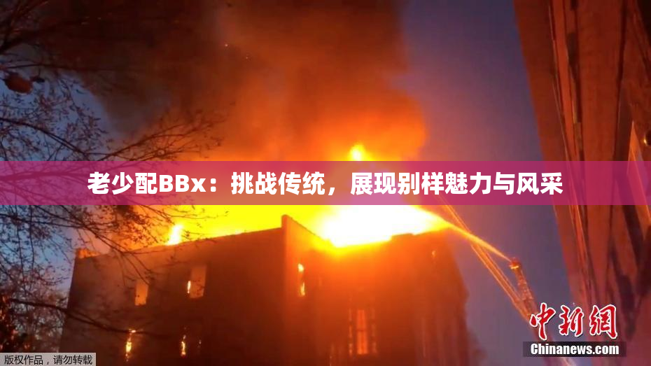 老少配BBx：挑战传统，展现别样魅力与风采