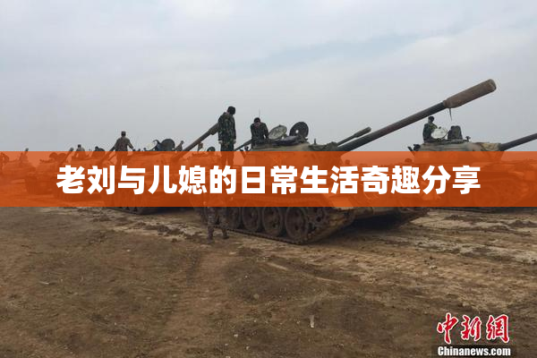 老刘与儿媳的日常生活奇趣分享
