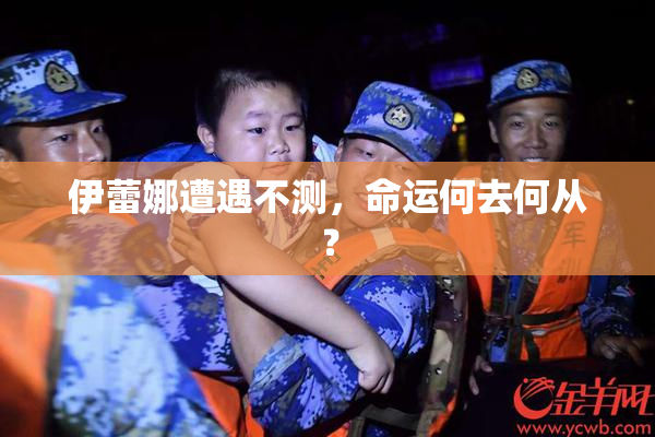 伊蕾娜遭遇不测，命运何去何从？
