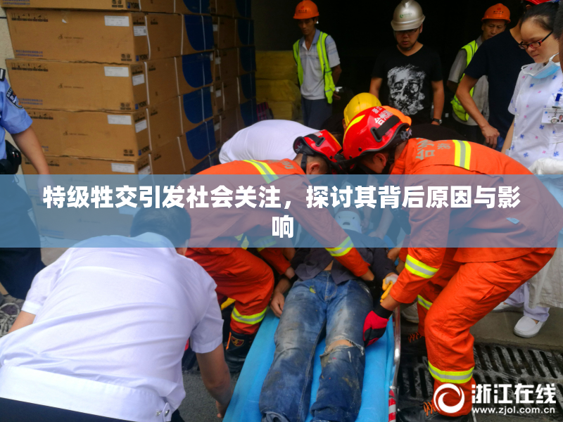 特级牲交引发社会关注，探讨其背后原因与影响