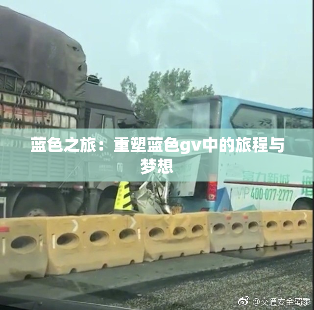蓝色之旅：重塑蓝色gv中的旅程与梦想