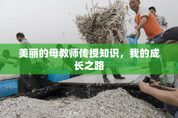 美丽的母教师传授知识，我的成长之路
